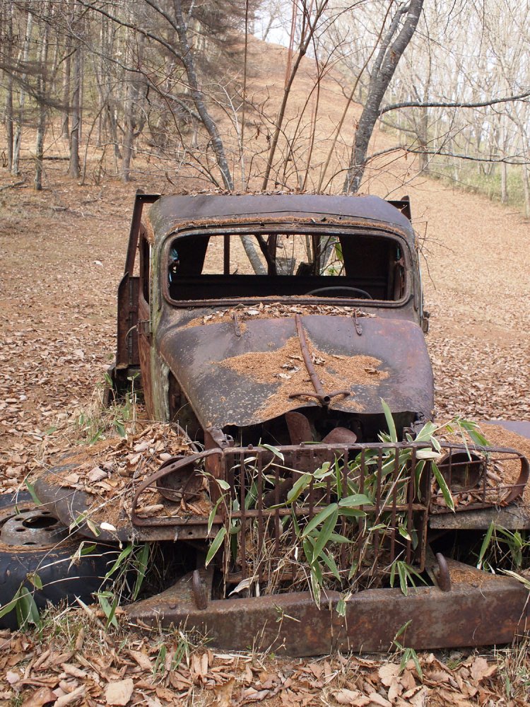 形状はボンネットトラックだ。DOGE社の軍用トラック“WC”型のフォルムに酷似している。