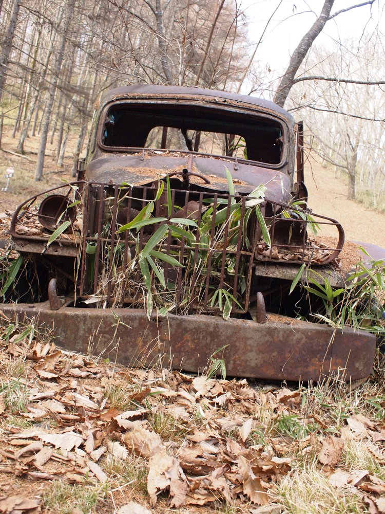 フロント部分をローアングルで。笹が生えていて、春になると緑に覆われるのだろうな。