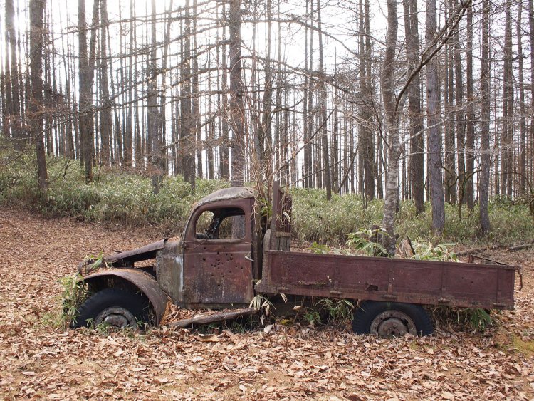 トラックはタイヤが地中に半分埋まっている状態であった。周囲は湿地帯でもなければ砂地でもない。長い月日で土が堆積したのだろう。また再訪したい場所である。