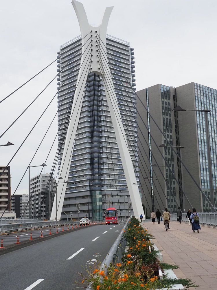 中央大橋。渡ったあちら側が八丁堀エリアだ。