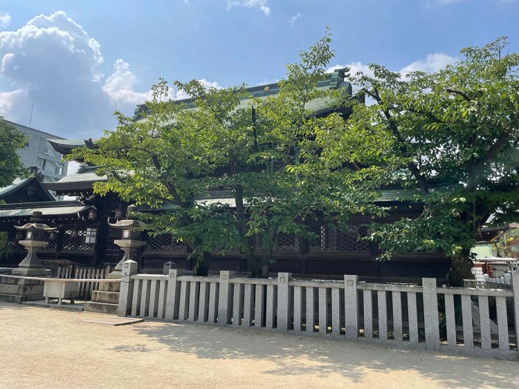 ちりとてちん　b