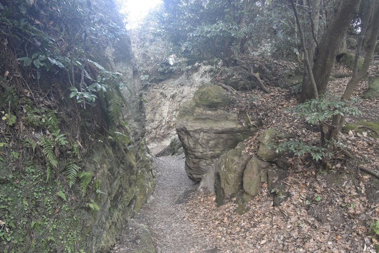 三浦氏への備えの意味もあった名越切通し。