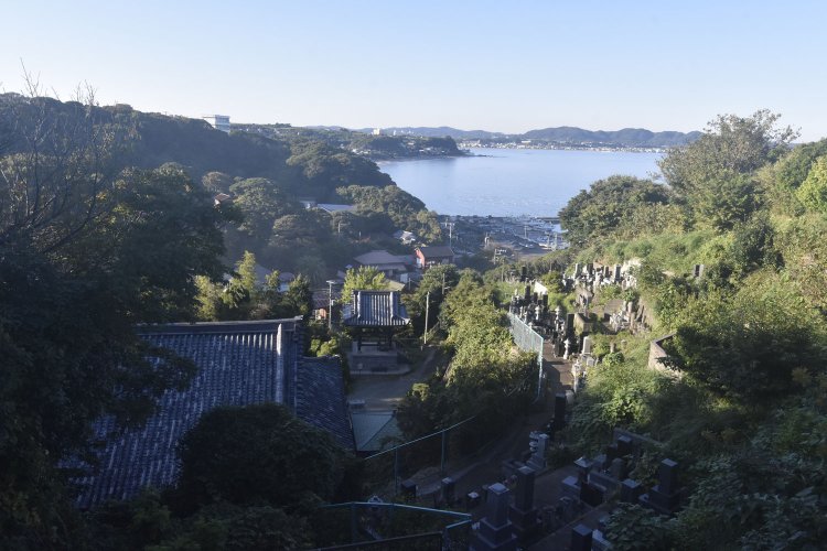 本堂裏の墓地まで登れば、寺の立地がよくわかる。目の前は金田港。