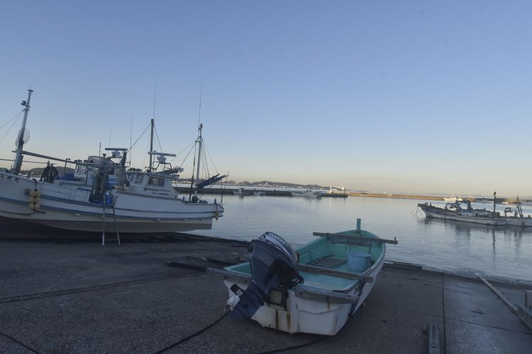 金田港周辺には三浦義村の足跡が多く残る。