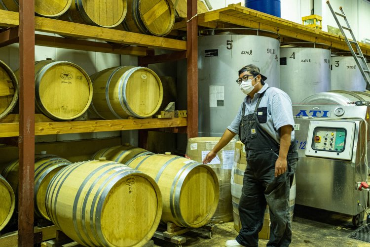 見学は1グループ2000円～（要予約、50～60分、試飲付き）。