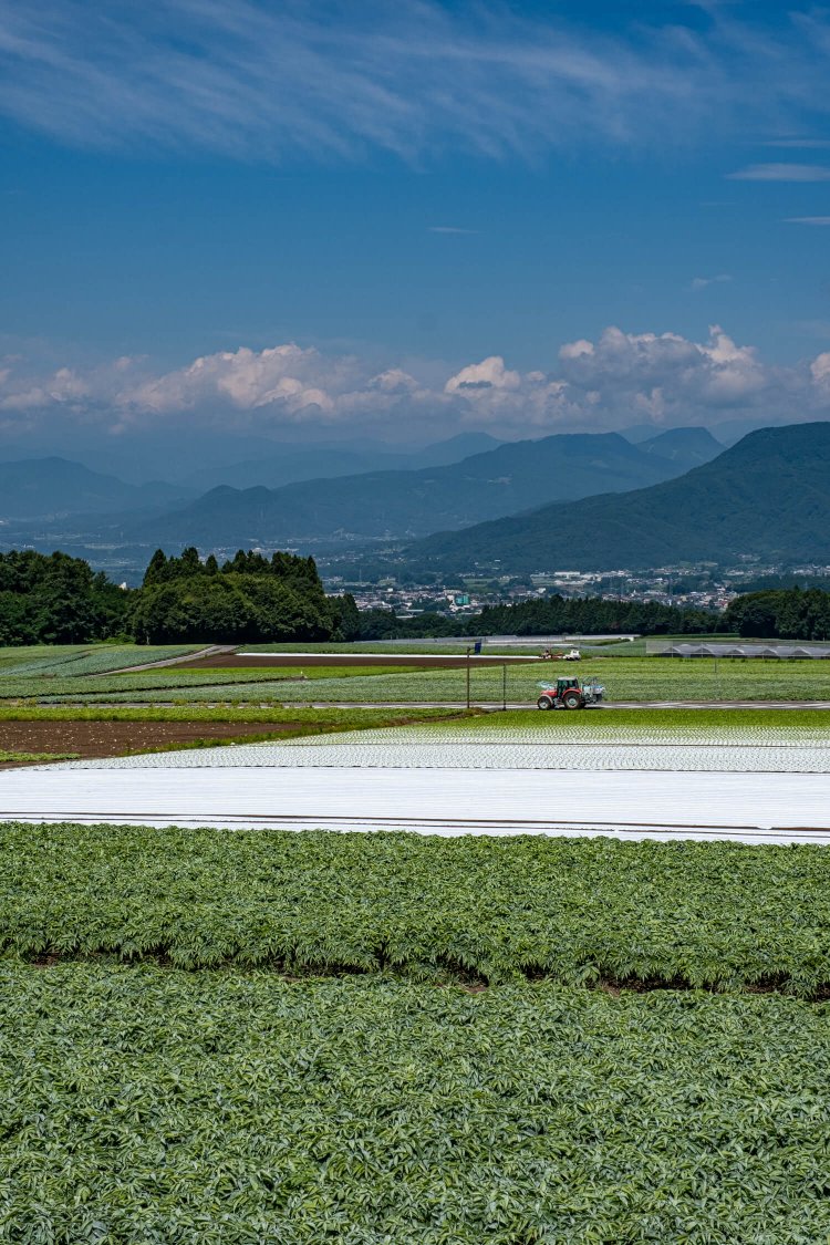 貝野瀬ビューポイント1
