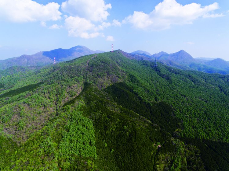 船ヶ鼻山からは大沼へ向け登山道が延びている（写真提供＝昭和村企画課）。
