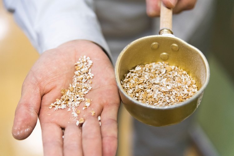 ロール機で粉砕した小麦。白い胚乳が小麦粉になる。
