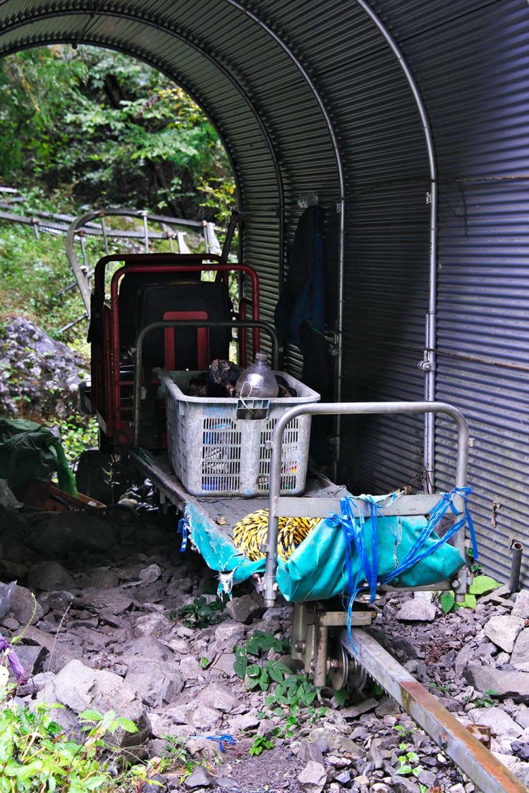 麵が食べたい　わさび025