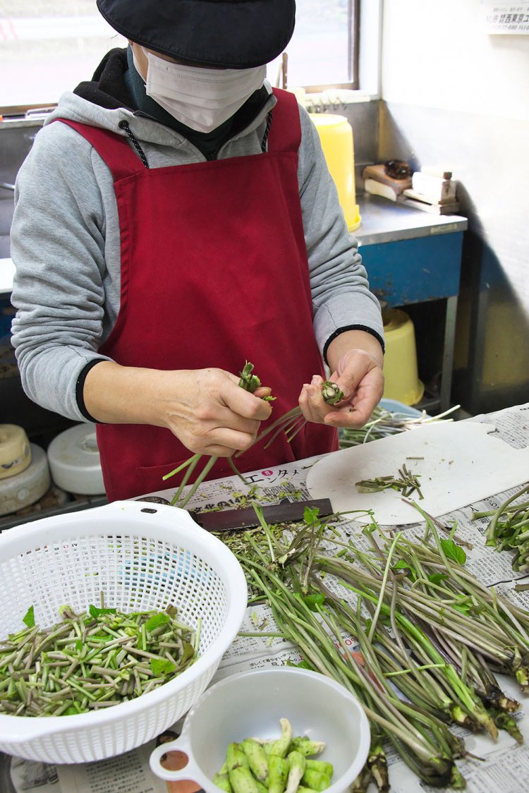 麵が食べたい　わさび043
