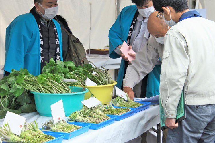 麵が食べたい　わさび059