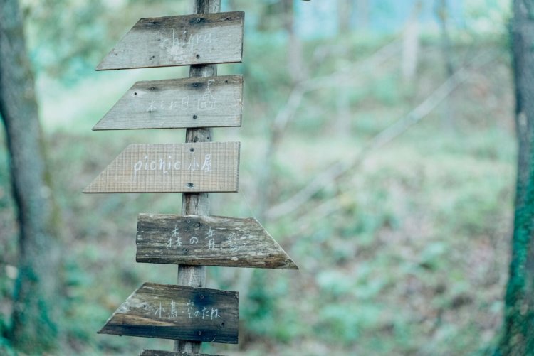 【カメラガールズ】「バルンバルンの森」