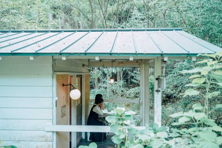 【カメラガールズ】「バルンバルンの森」