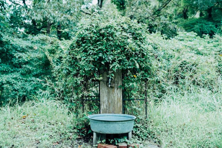 【カメラガールズ】「バルンバルンの森」