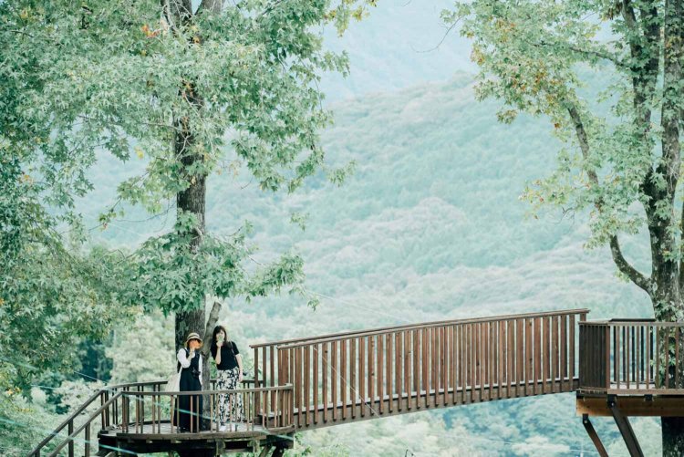 【カメラガールズ】「バルンバルンの森」