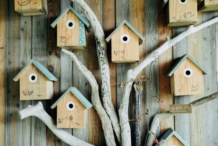 【カメラガールズ】「バルンバルンの森」