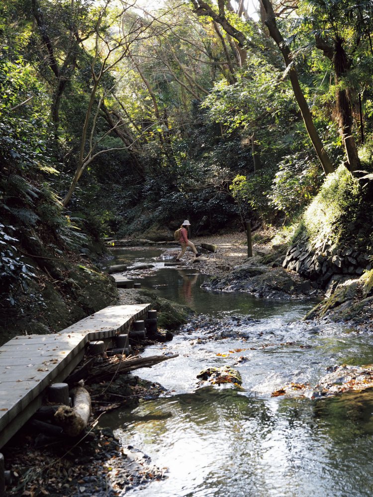 三浦半島の最高峰、湘南国際村から大楠山へ【東京発日帰り低山さんぽ】