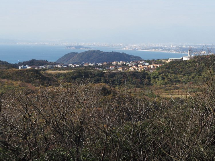 大楠山山頂から相模湾を眺める。晴れている日には富士山を見ることができる。