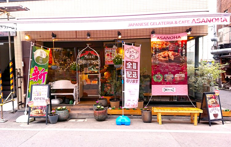 季節によって変わる植物たち。オーナー自ら世話をしにくるそうだ。