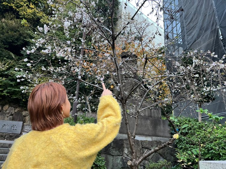 寒くなってきたこの時期になんだかほっこりする光景だ。