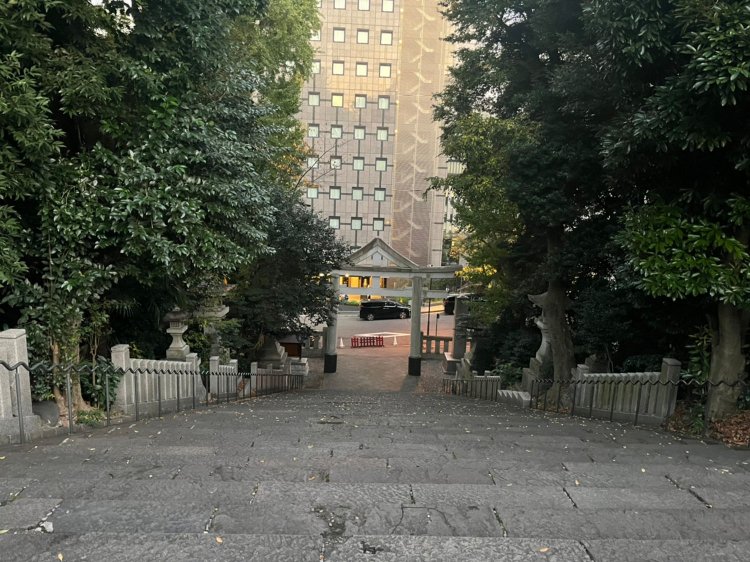 53段の山王男坂。上から見下ろすとちょっとこわいかも。