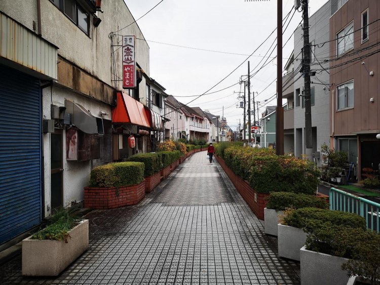 味論さんによると桃園川緑道は猫との遭遇率が高いらしく、猫好きにもおすすめの散歩ルートだそうだ。