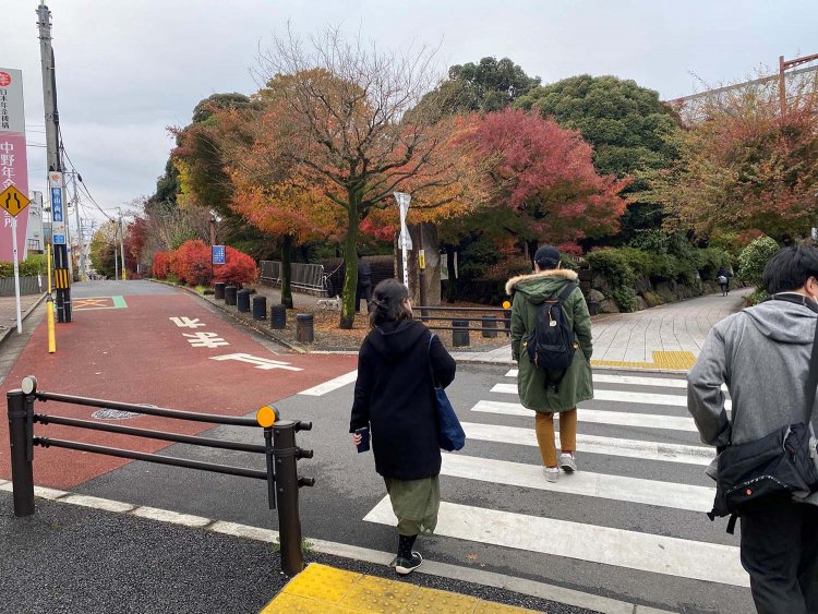 紅葉山公園へ。まだ紅や黄に色づく葉が見受けられた。