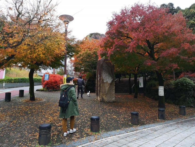 7　もみじ山公園 (26)