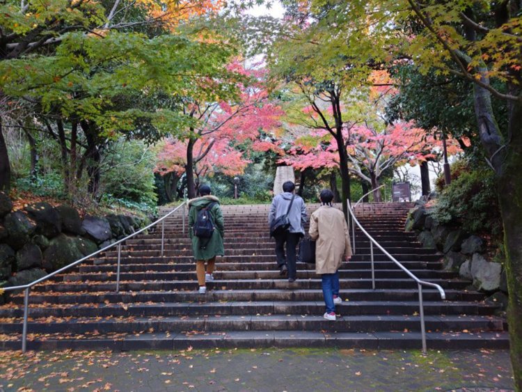 7　もみじ山公園内