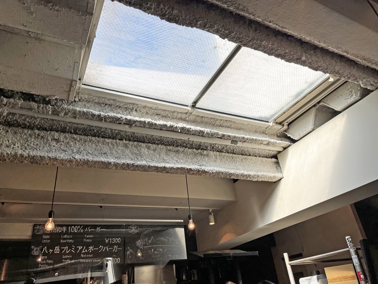 天窓から自然光がさんさんと注がれて明るい店内。