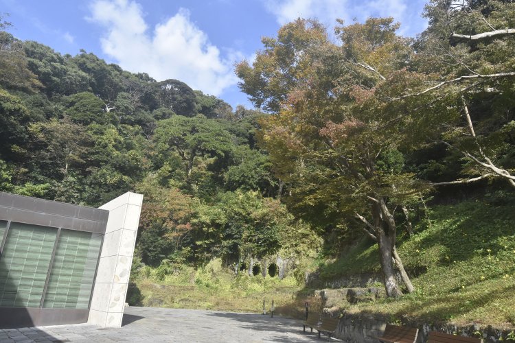 鎌倉歴史文化交流館は今も深い緑に覆われた谷戸の風景が望める。