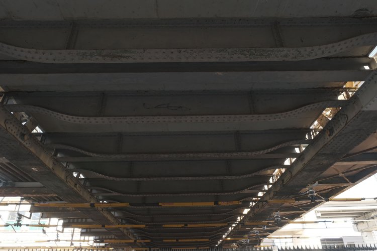 魚の腹とも表現される中間横桁が等間隔で並ぶ。中心部が膨らんでいる構造に目がいく。