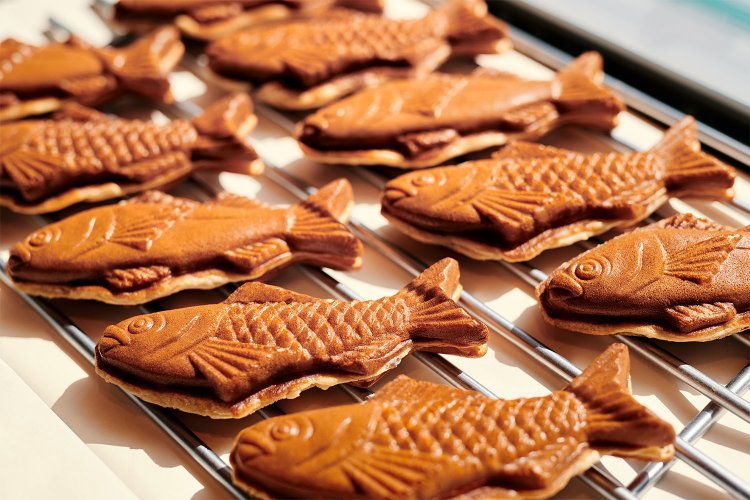 （写真提供：OYOGE）