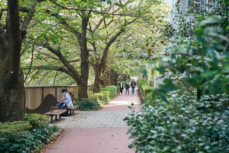 目黒川には、いつの季節も癒やしを求めて人が集まる。名物のしだれ桜は葉が落ちたシルエットもいい。