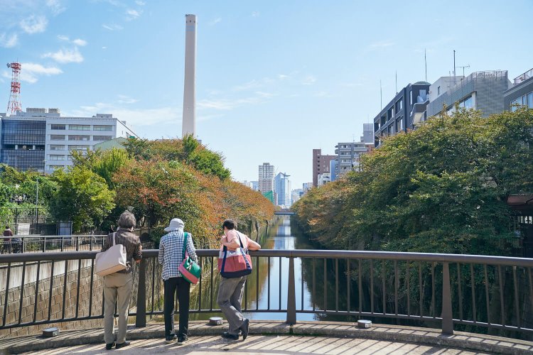 恵比寿中目黒5なかめ公園橋