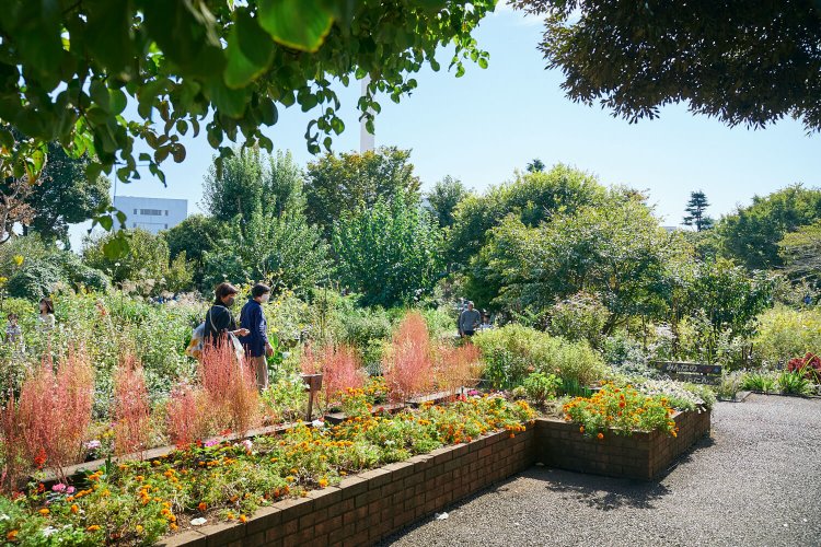 恵比寿中目黒6中目黒公園