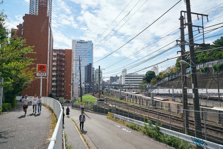 駒沢通りから西郷山通りが分岐。西郷山通りの方が若干勾配があり、進むにつれて高低差が開く。