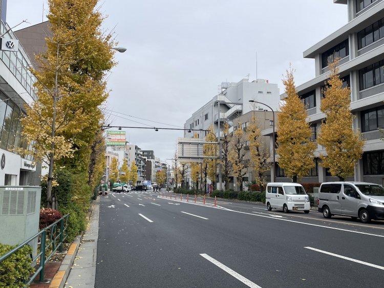 なんとなく上品に見える目黒通り（偏見）。