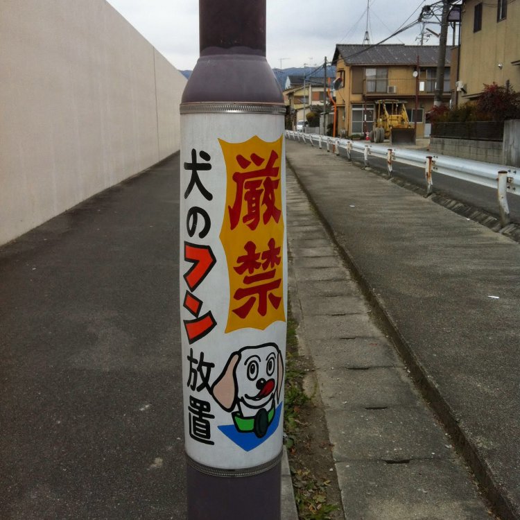 遠目からでも目を引きそうな個性的な看板。