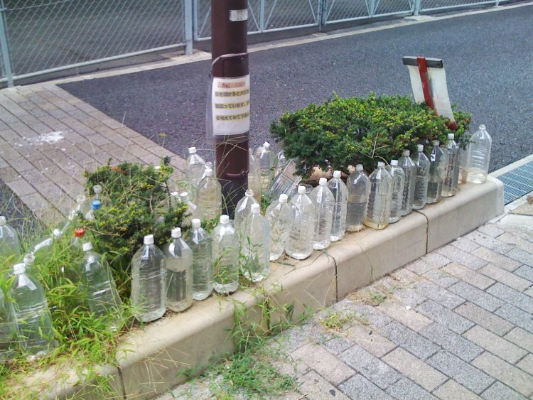 看板以上に、ずらりと並んだペットボトルからにじみ出る怒り。