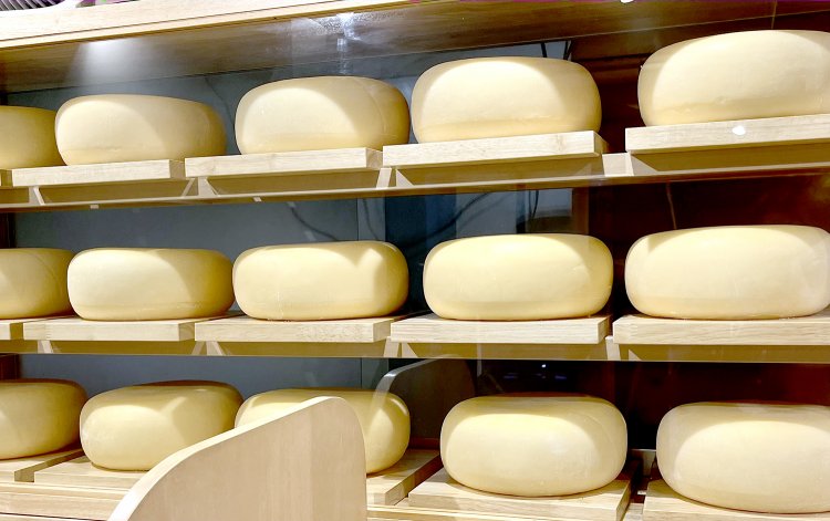 入口付近のカウンターから見えるチーズのオブジェたち。