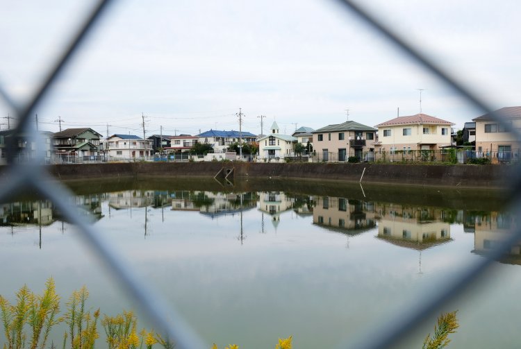 江戸時代は「野馬たちの水飲み場でもあった」池は住宅に囲まれている