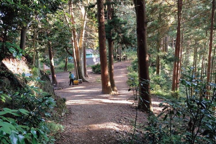 江戸時代に甲州道中（旧甲州街道）が整備され、その途中に小仏峠があった。今は登山客などが利用する。