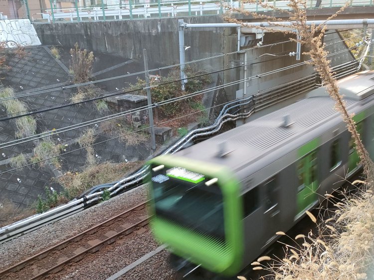 道灌山トンネルと山手線の位置関係。外回り電車が軽快に通過していく。トンネルは法面のさらに下側に存在した。そこを掘れば全容が現れると思うが……。