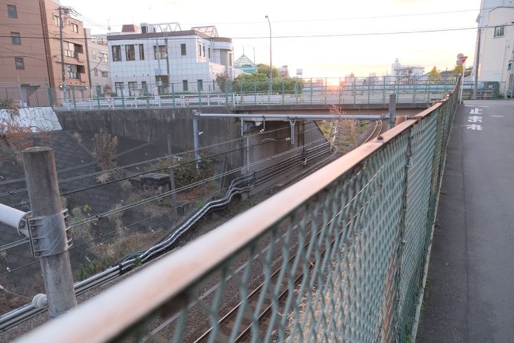 富士見橋のたもと、写真左手の法面に……。おわかりいただけただろうか。