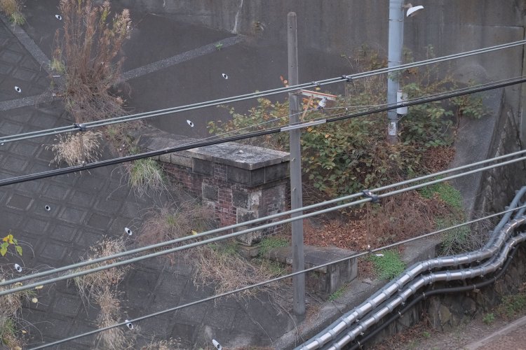 法面から突出した壁柱部分が見える。壁柱から法面側へと横に伸びている部分が笠石と胸壁であり、線路側は翼壁と言われる部分。レンガの積み方は「イギリス積み」。