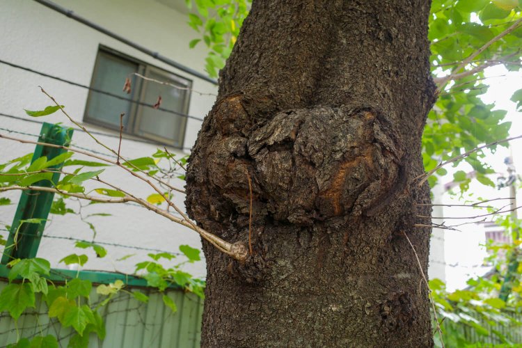 恵比寿中目黒勝負20