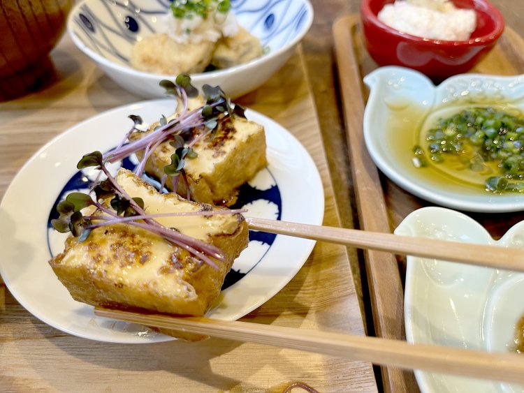 こんがり焼いた厚揚げに、甘辛い醤油だれがかかっている。これはお酒のアテでもいいなあ。