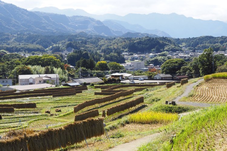 棚田の東屋から。棚田の風景と秩父盆地の眺めがいい。中央付近の駐車場で縄文遺跡が発掘された。