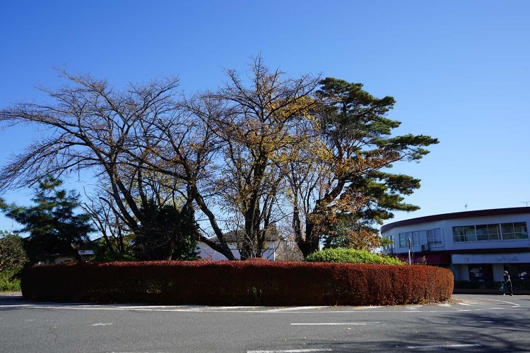 『耳をすませば』のヒロイン月島雫と歩く、80年代後半の聖蹟桜ヶ丘【ジブリ妄想散歩】